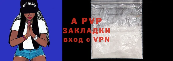 ПСИЛОЦИБИНОВЫЕ ГРИБЫ Киренск